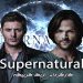 supernatural سوپرنچرال اریک کریپکه جنسن اکلس جارد پدالکی میشا کالینز CW سریال تلویزیونی ماورالطبیعه استودیو مارولز